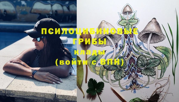 Альфа ПВП Баксан