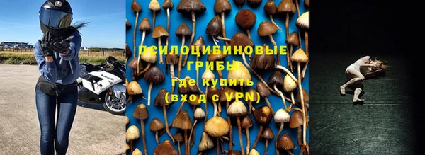 бошки Балахна