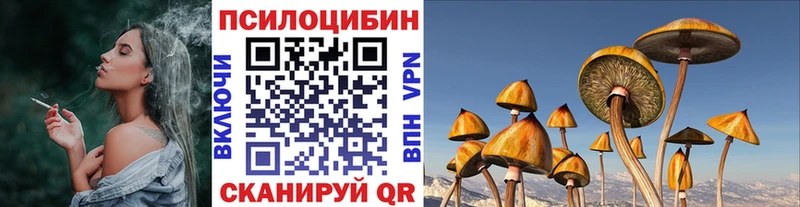 Купить  Пестово  Псилоцибиновые грибы Magic Shrooms 